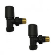 Two black and brass plumbing valves on a white background