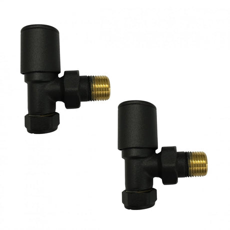Two black and brass plumbing valves on a white background