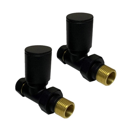 Two black metal valves with brass fittings on a white background