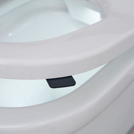 Close-up of a white toilet seat with a small black seat lugs positioned underneath the rim.