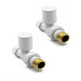 Two white plumbing valves with brass fittings on a white background