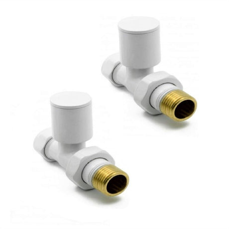 Two white plumbing valves with brass fittings on a white background