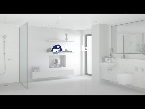 Video explaining the Whale sense