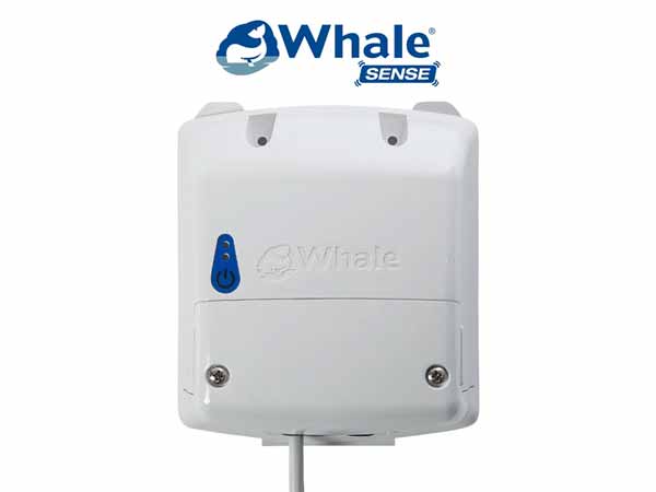 White electronic device with Whale branding on a white background